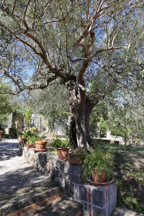 La Masseria Pietramarmo Caiazzo - App To Con Vista Exterior foto
