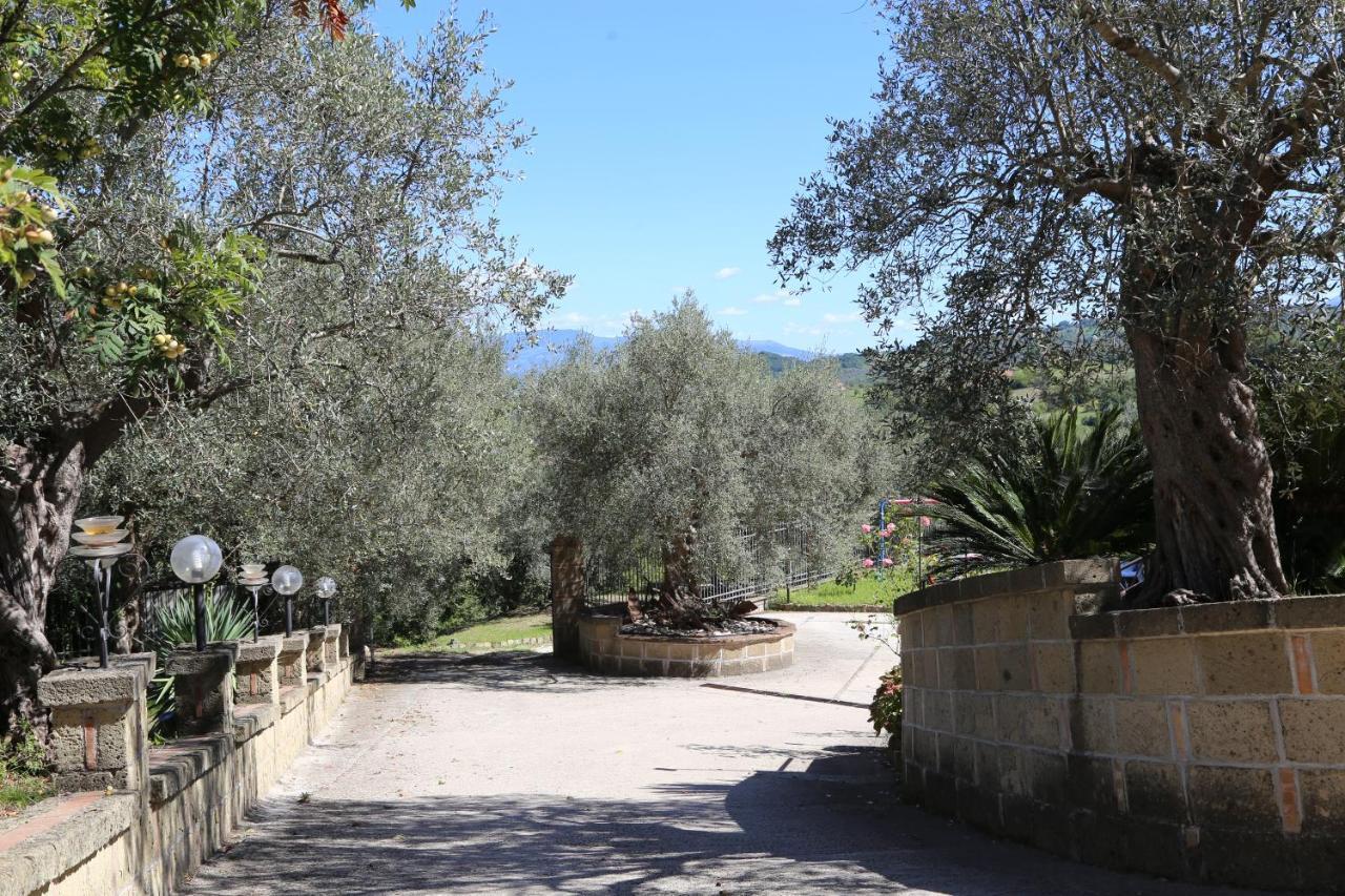 La Masseria Pietramarmo Caiazzo - App To Con Vista Exterior foto